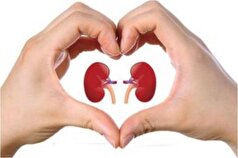 به کمک این غذا‌ها سلامت کلیه هایتان را تضمین کنید
