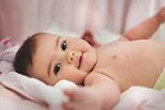 جنسیت جنین چگونه تعیین میشود؟