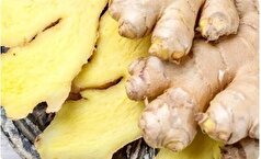 زنجبیل؛ دوای درد‌های بی درمان!
