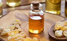 آیا واقعاً کندر حافظه را تقویت می‌کند؟