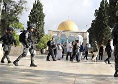 هشدار جهاد اسلامی درباره توطئه خطرناک اشغالگران علیه مسجدالاقصی