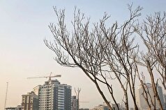 ۸۹ سال انتظار، برای خانه دار شدن در تهران!