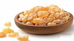 کندر واقعا بر افزایش حافظه تاثیر دارد؟