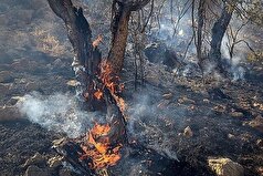 آتش سوزی منطقه چهاربید سالوک مهار شد