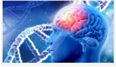 معکوس کردن روند زوال عقل با یک ترکیب جدید