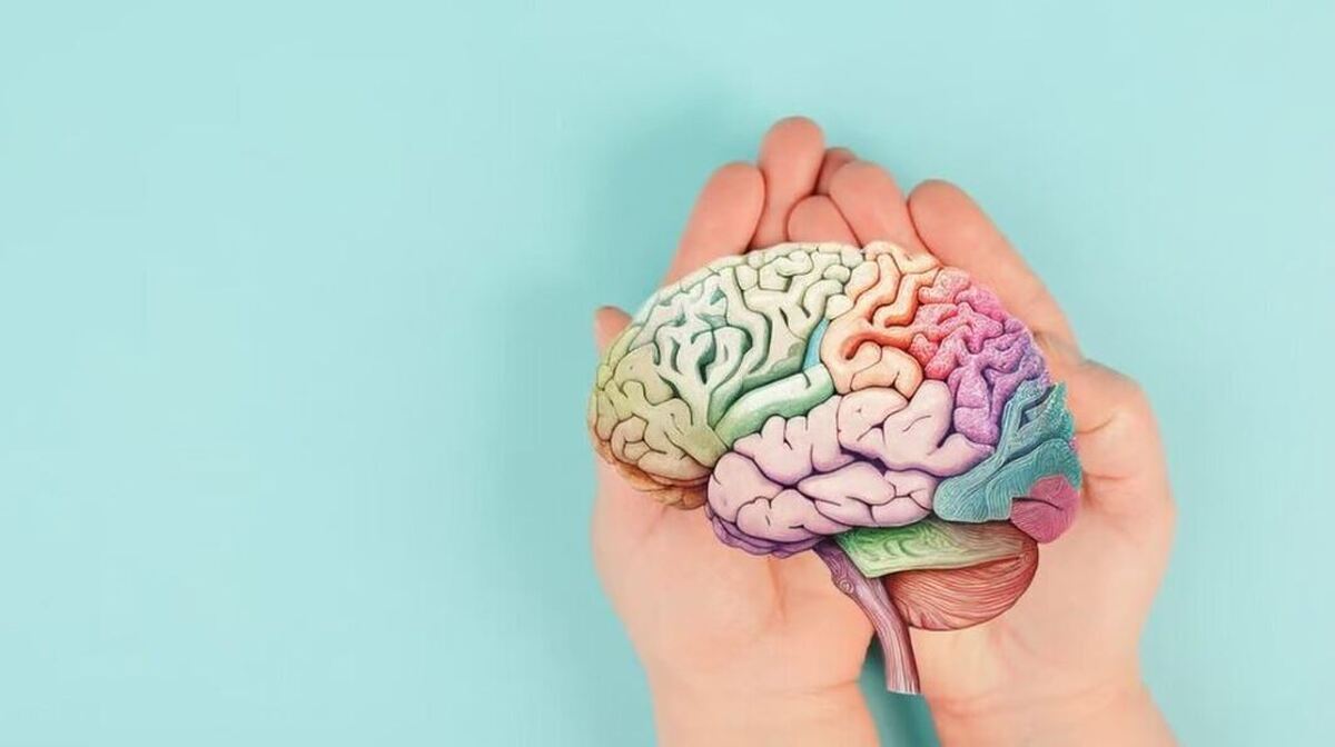 از خواص بی نظیر بوی این دانه محبوب غافل نشوید