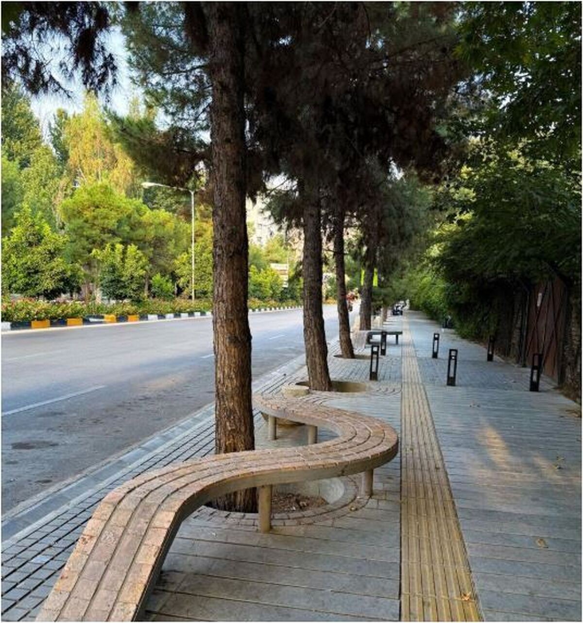 اقدام جالب شهرداری شیراز در طراحی نیمکت‌های شهر مورد تحسین قرار گرفت