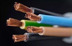 عملیات غافلگیرانه پلیس برای دستگیری سارق ۵ هزار متر انواع کابل برق در جزیره کیش