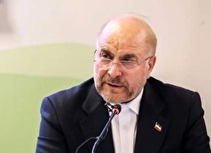 قابی تکرار نشدنی از فرزاد حسنی در کنار یک چهره سیاسی