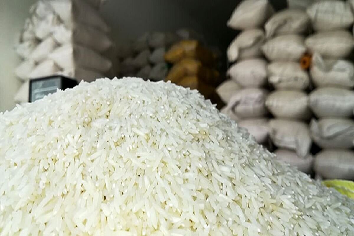 کاهش ۱۵ درصدی قیمت برنج ایرانی در بازار/منتظر ارزان‌تر شدن هم باشید