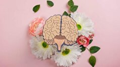 با این رژیم غذایی به جنگ سکته مغزی بروید