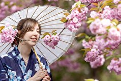 ژاپن چهلمین رکورد امید به زندگی زنان را ثبت کرد