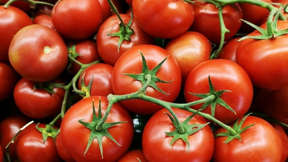 متخصص تغذیه می‌گوید گوجه فرنگی برای چه کسانی مضر است