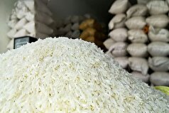 کاهش ۱۵ درصدی قیمت برنج ایرانی در بازار/منتظر ارزان‌تر شدن هم باشید