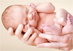 میانگین زمان پدر شدن ایرانیان بالای ۳۰ سال است!