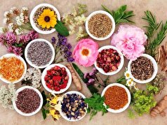 توانایی گیاهان دارویی بومی در کاهش استرس و افزایش تمرکز!
