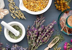 تقویت ریه در طب سنتی چه گیاهانی پیشنهاد میشود؟