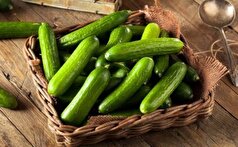 خوردن هرروزه خیار چه بلایی سر بدن شما می‌آورد؟