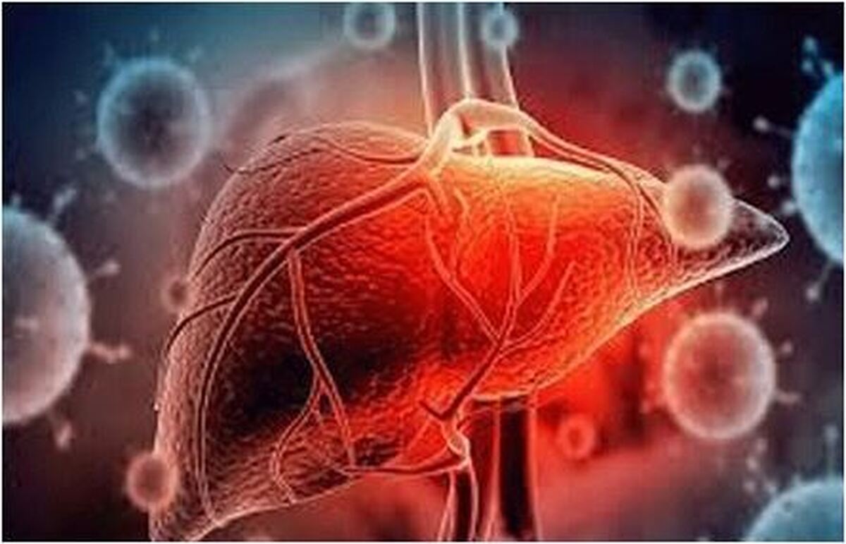 مزاج سرد کبد را با خوردن طالبی بهبود دهید