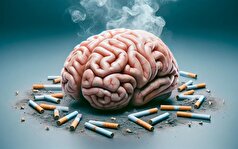بررسی رابطه بین سیگار کشیدن و آتروفی مغز!