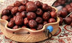 عناب؛ میوه‌ای کوچک با جایگاه ویژه در طب سنتی