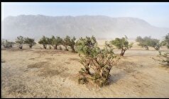 استفاده نامناسب از منابع آبی از علل اصلی بیابانزایی است