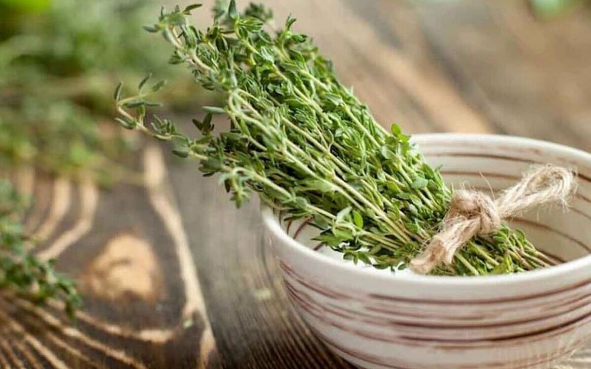 برای بهبود مشکلات تفسی از بخور این گیاه معجزه آسا غافل نشوید