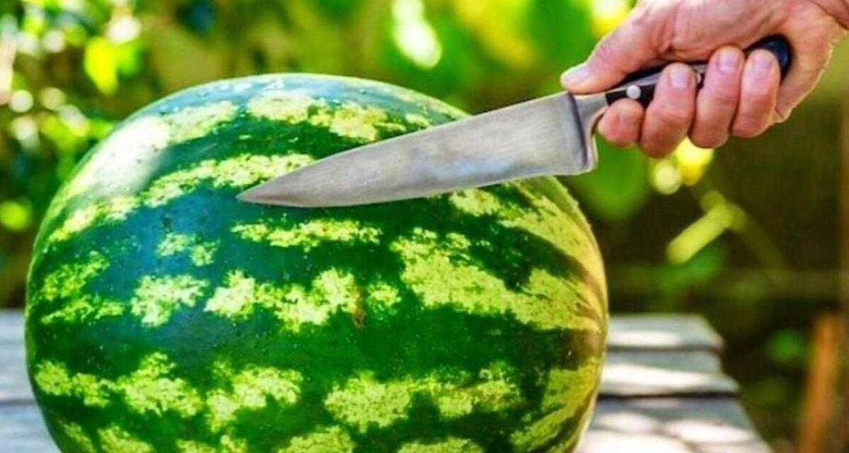 نکات مهمی که قبل از خوردن هندوانه باید رعایت کنید را بدانید