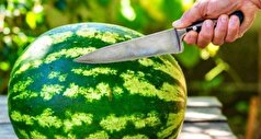 نکات مهمی که قبل از خوردن هندوانه باید رعایت کنید را بدانید