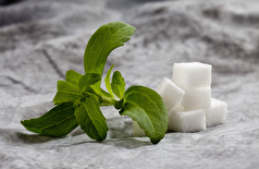 یک عصاره طبیعی ممکن است سلاحی علیه سرطان پانکراس باشد