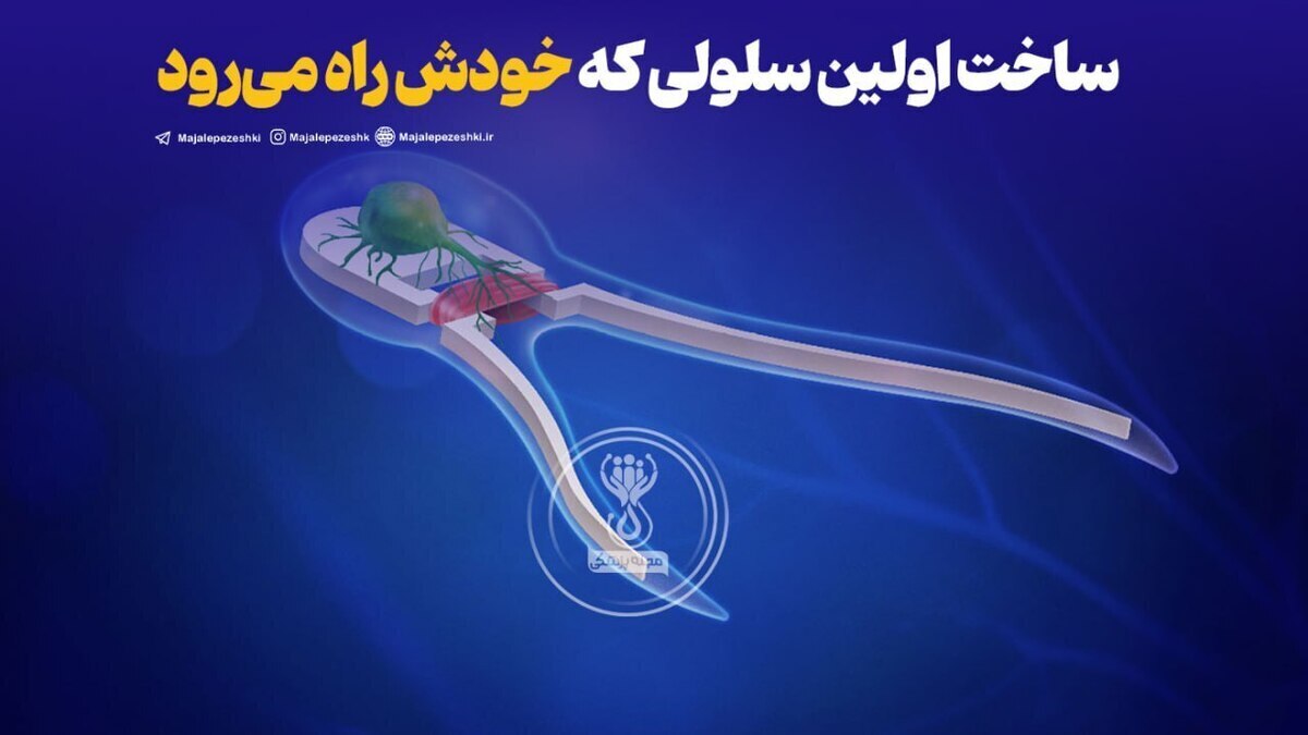 ساخت سلول مصنوعی با قابلیت حرکت برای اولین بار!
