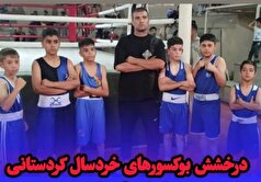 کسب ۶ مدال کشوری توسط بوکسور‌های کردستانی