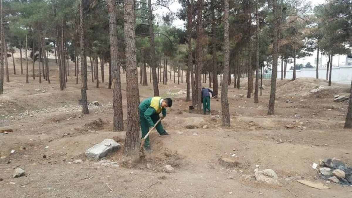 رفع موانع کاشت ۳۰ هزار درخت در بوستان سرخه حصار