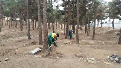رفع موانع کاشت ۳۰ هزار درخت در بوستان سرخه حصار