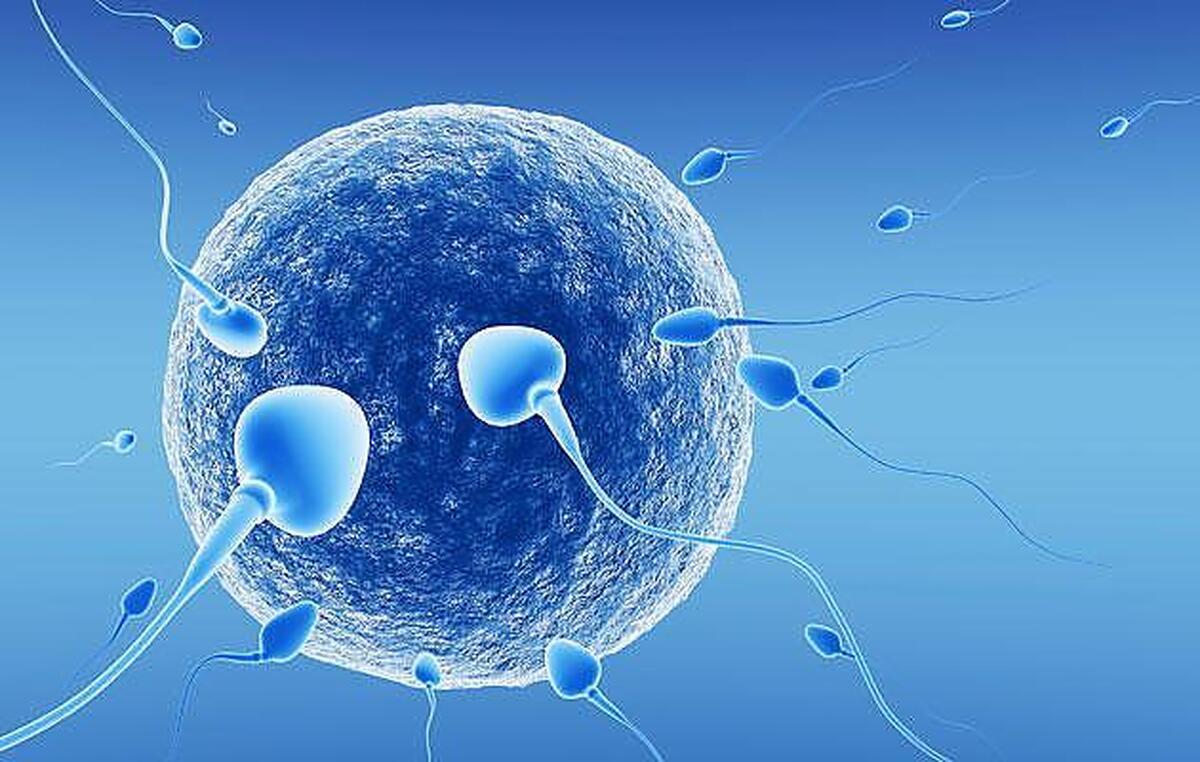 آیا می‌دانید چرا داروی ضد بارداری برای مردان تولید نمی‌شود؟