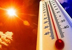 نقش دمنوش‌ها را در جلوگیری از گرمازدگی جدی بگیرید