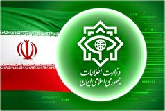 شناسایی و دستگیری تعدادی از حامیان شبکه اینترنشنال