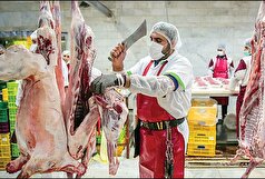 ذخایر گوشت داخل مطلوب است