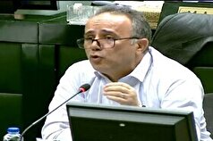 علیمردانی: قطعی برق کشاورزی باعث اتلاف تمام سرمایه کشاورزان خواهد شد