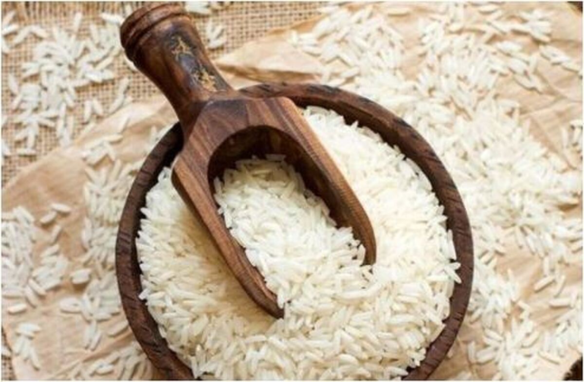 برداشت برنج شمال و افزایش عرضه آن