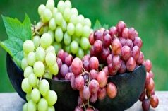ارزش غذایی و نکات مهم مصرف انگور در کودکان