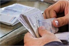 وزیر تعاون:تا جایی که دولت بود جه داشته باشد، یارانه بگیران را حذف نخواهیم کرد