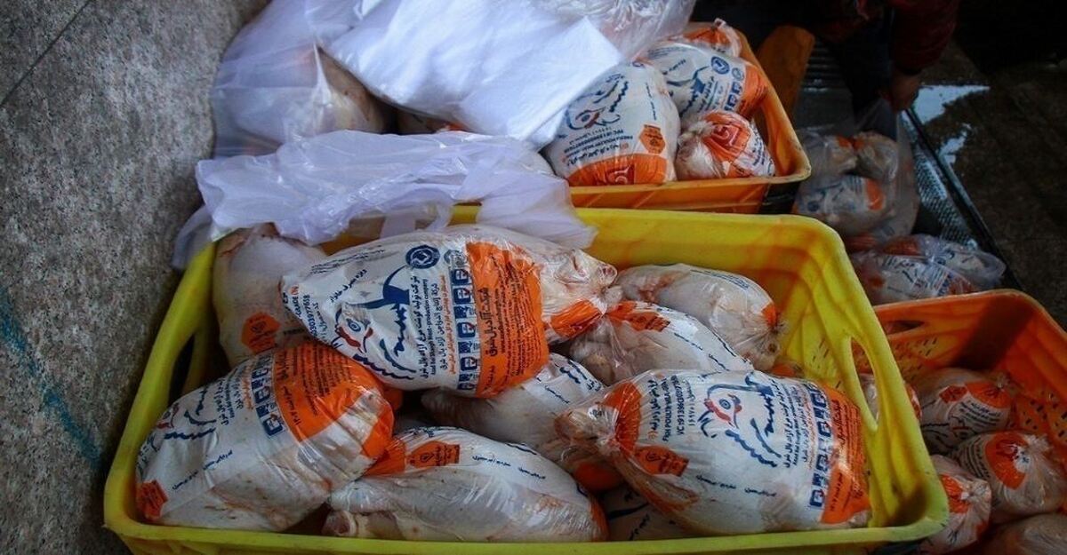مرغ گرم با نرخ ۱۰۸ هزارتومان به وفور در میادین موجود است
