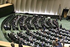 دولت ملزم به راه اندازی سامانه رسیدگی به درخواست‌های حقوقی ایرانیان خارج از کشور شد