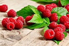 تمشک مناسب برای تقویت حافظه!