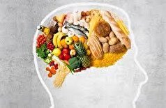 برای حفظ سلامت مغز چی بخوریم؟