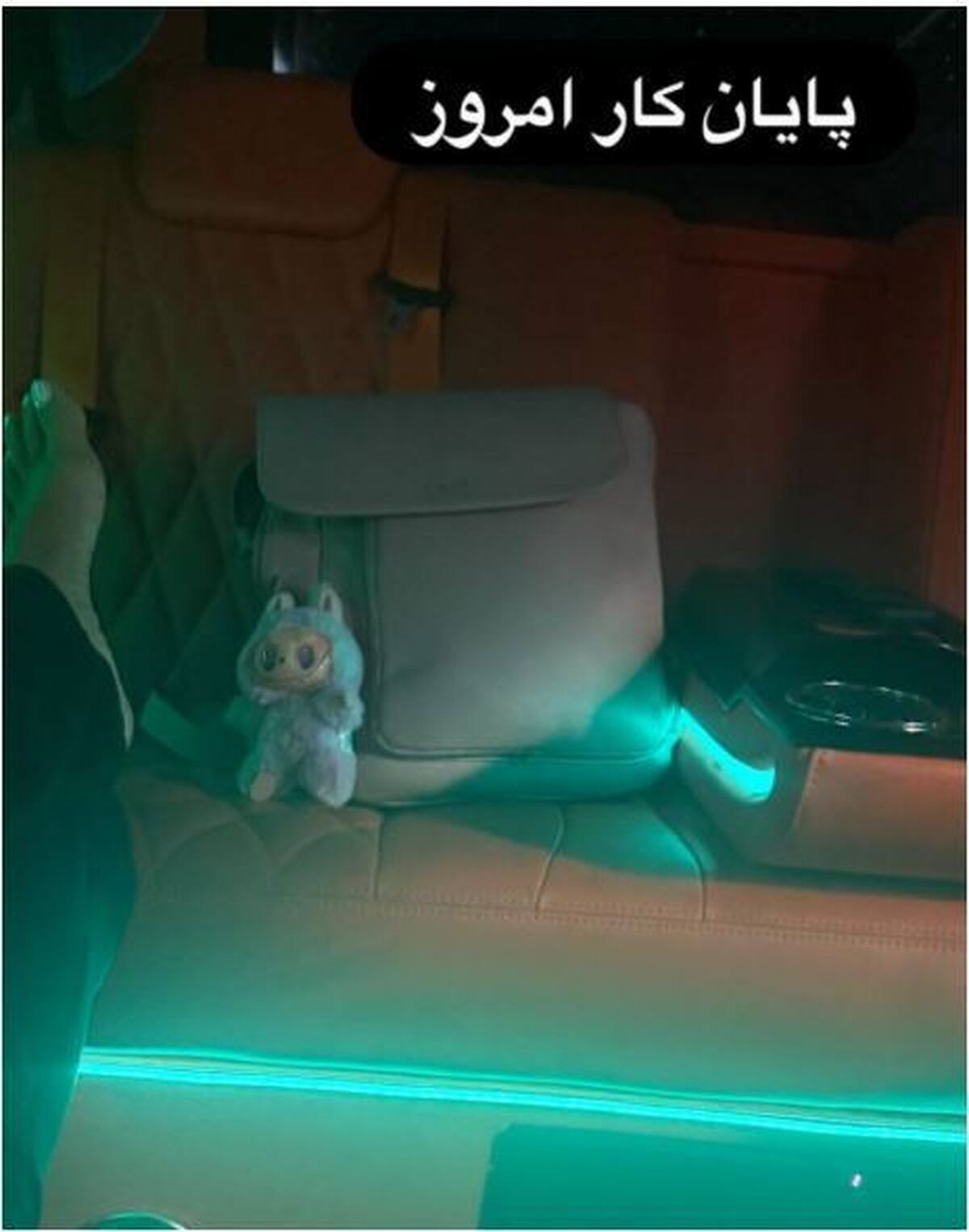مهناز افشار با این استوری، خرید عروسک لبو بو را به نمایش گذاشت