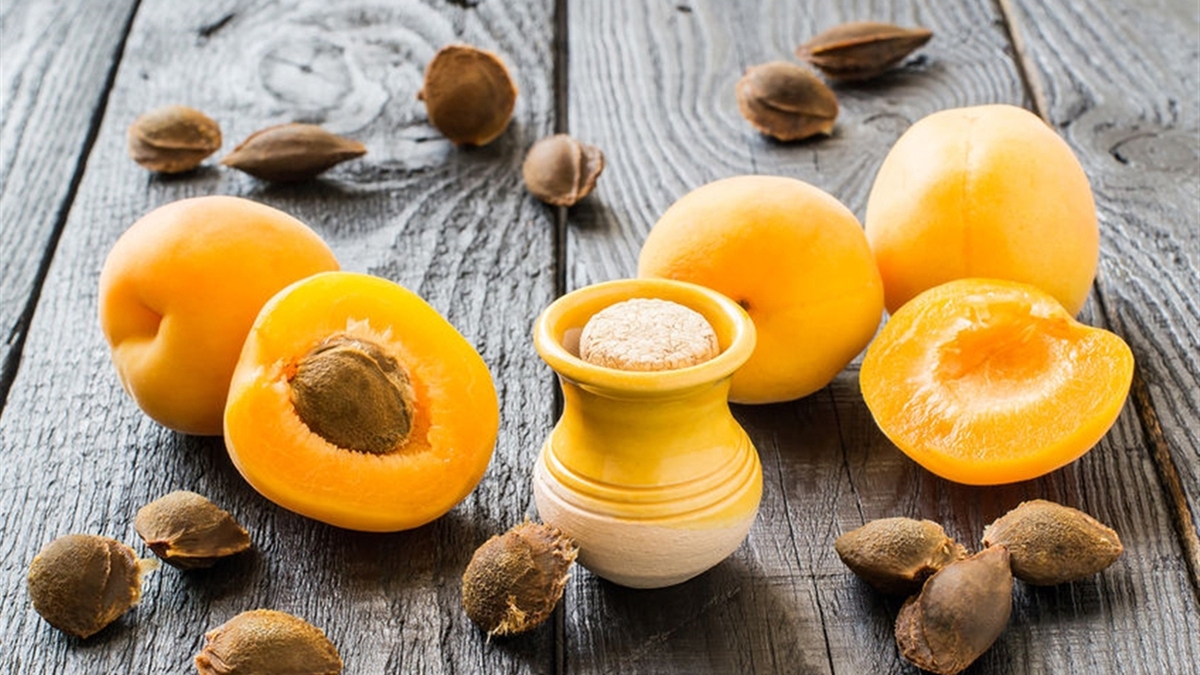 هسته زردآلو در طب ایرانی چه خاصیتی دارد؟