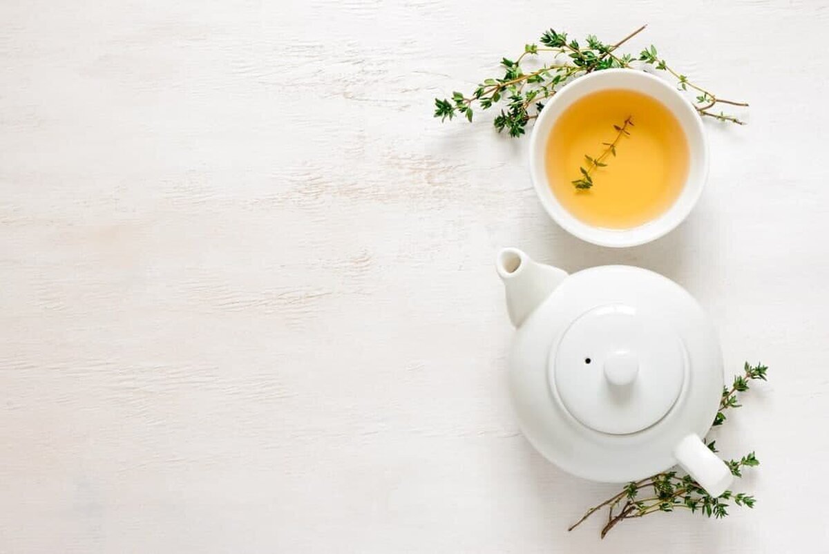 گیاه کاکوتی چیست؟ از خواص معجزه آسای آن چه میدانید؟