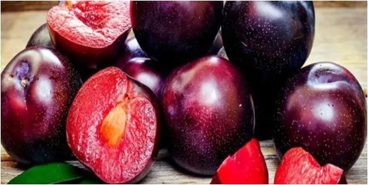 خواص آلو سیاه و فواید بی نظیر آن